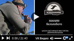 Маним белолобого. Работа с манком, 2015