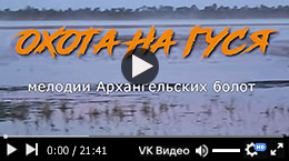 Мелодии Архангельских болот