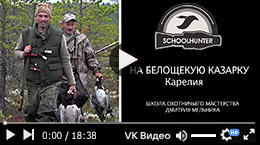На белощёкую казарку. Карелия, 2015