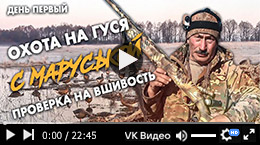 Охота на гуся с Маруськой весной 2021