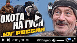 Охота на гуся на юге России в декабре 2024