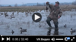 Охота гуся под Рязанью