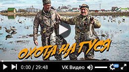 Охота на гуся под Рязанью