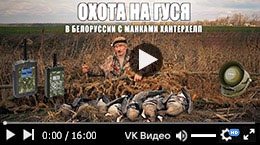 Охота на гуся в Белоруссии
