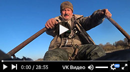 Охота на селезня