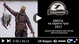 Охота на серого гуся