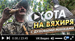 Охота на вяхиря под Рязанью