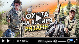 Охота на вяхиря под Рязанью